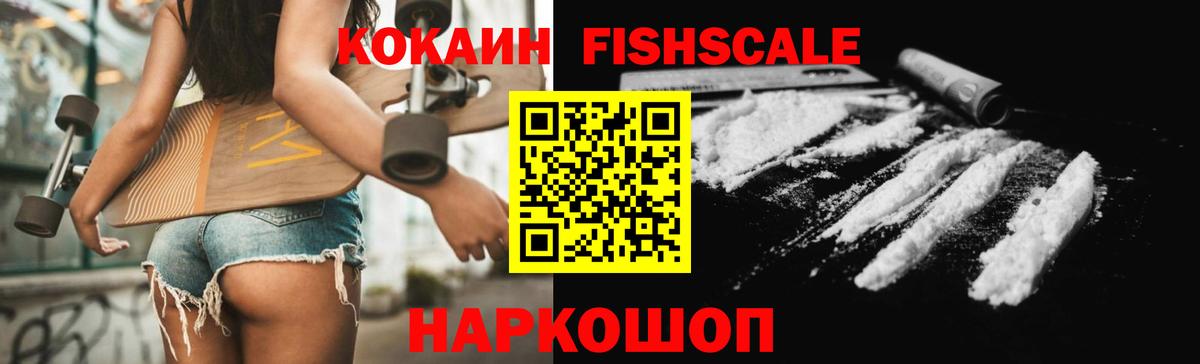 Гай  COCAIN Fish Scale  Вход с VPN  КОКАИН Эквадор 
