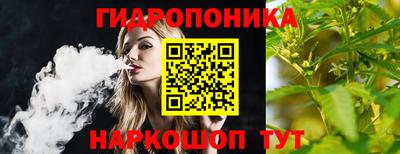 ешки Будённовск