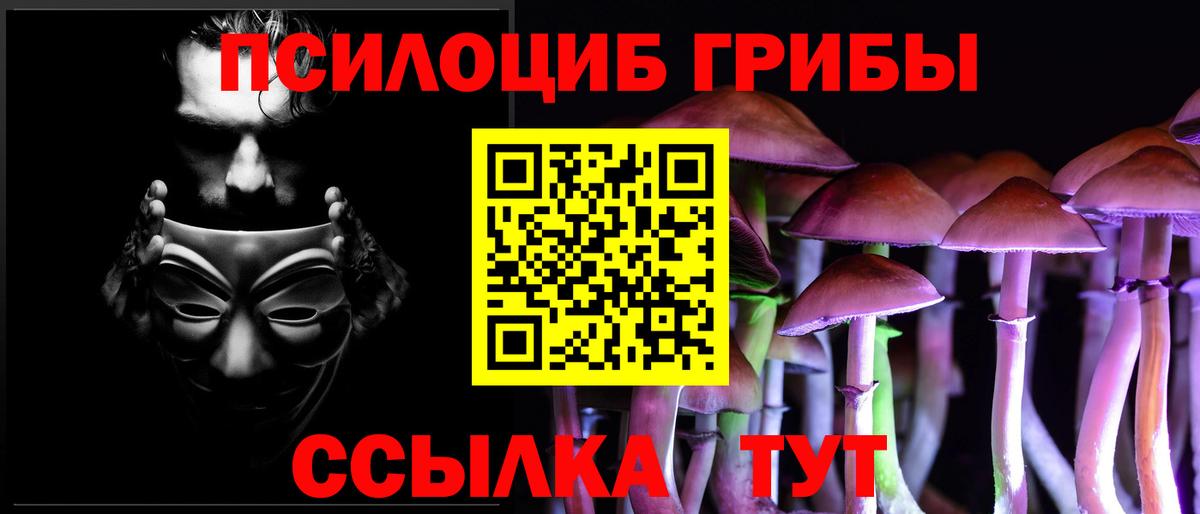 Галлюциногенные грибы Cubensis Гай